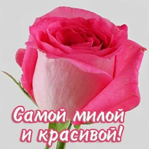 2_0-jpg.446125