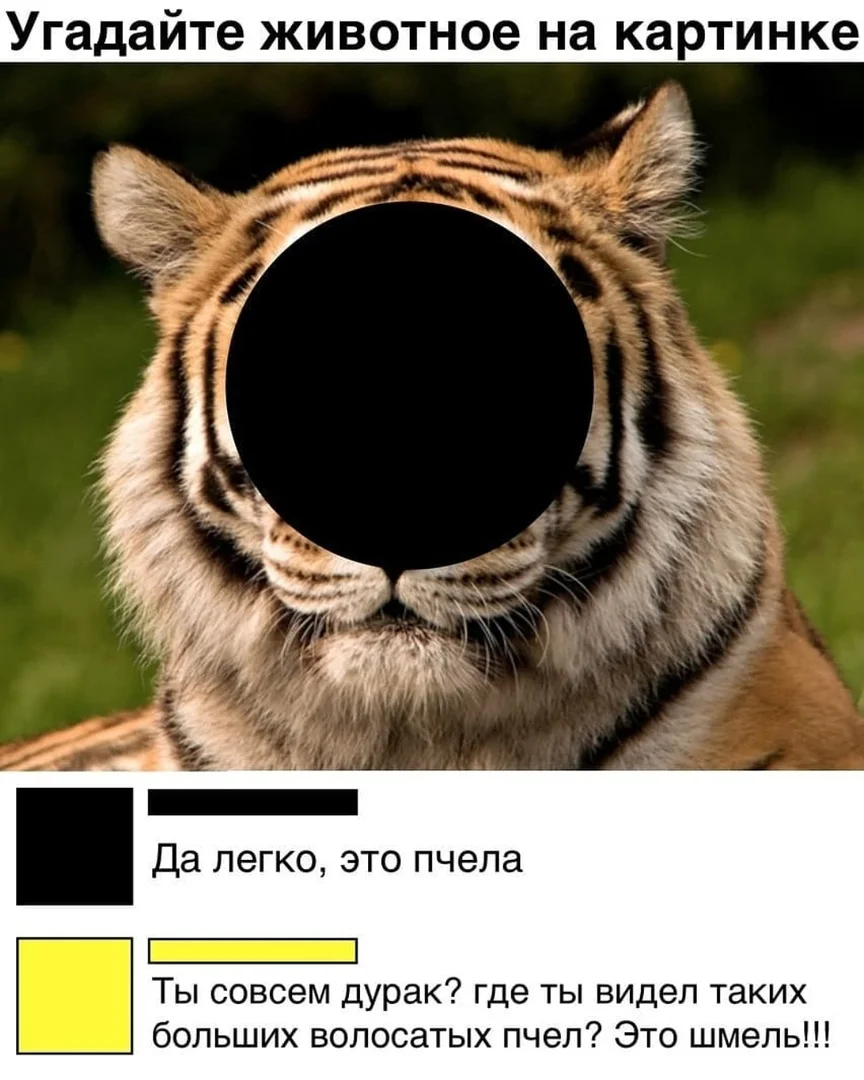 2etxguvsu3i-jpg.1372853