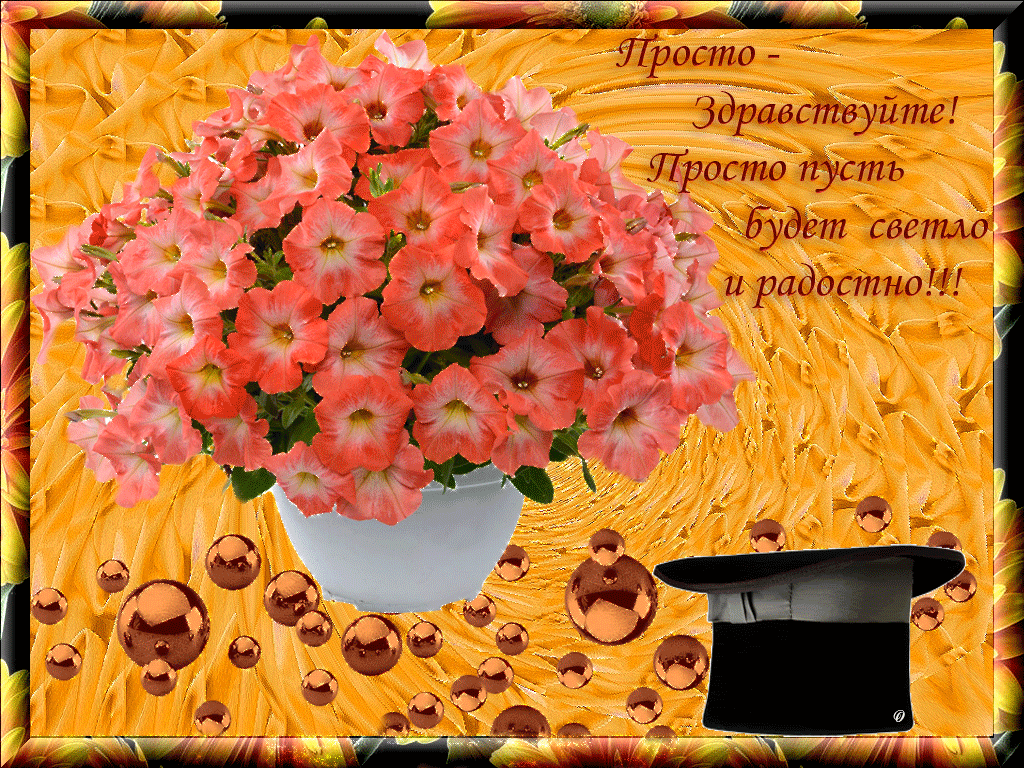 Здравствуй день хороший