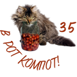 35_02-png.1707661
