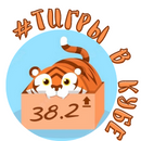 38-2-8-png.1562339