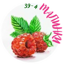 39-4-4-png.1587340