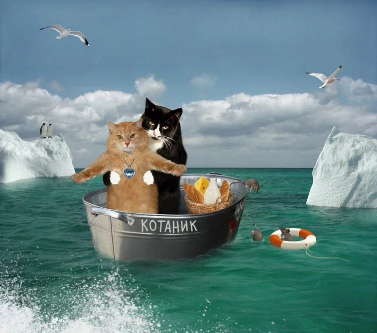 Смешные про море