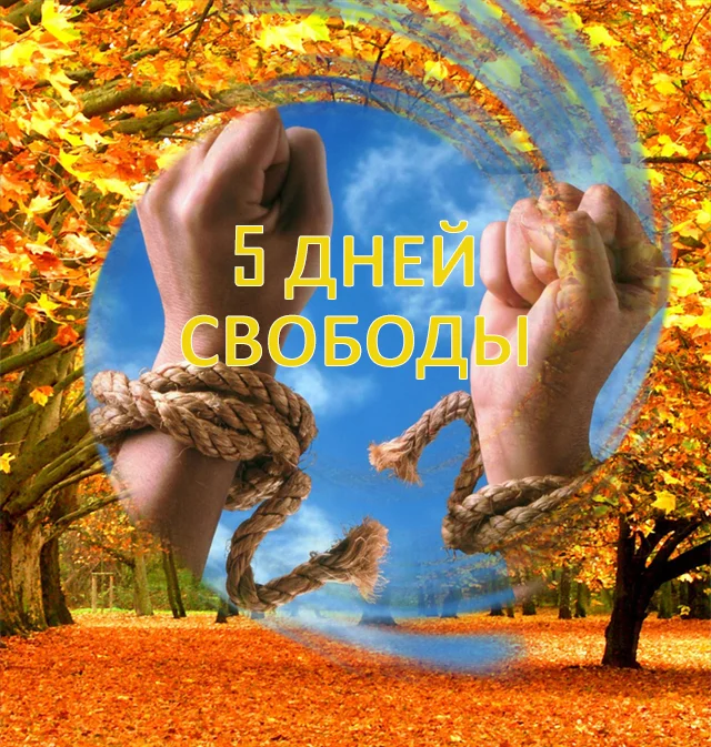 5-jpg.266870