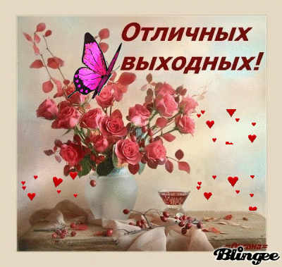 5057985-gif.186422