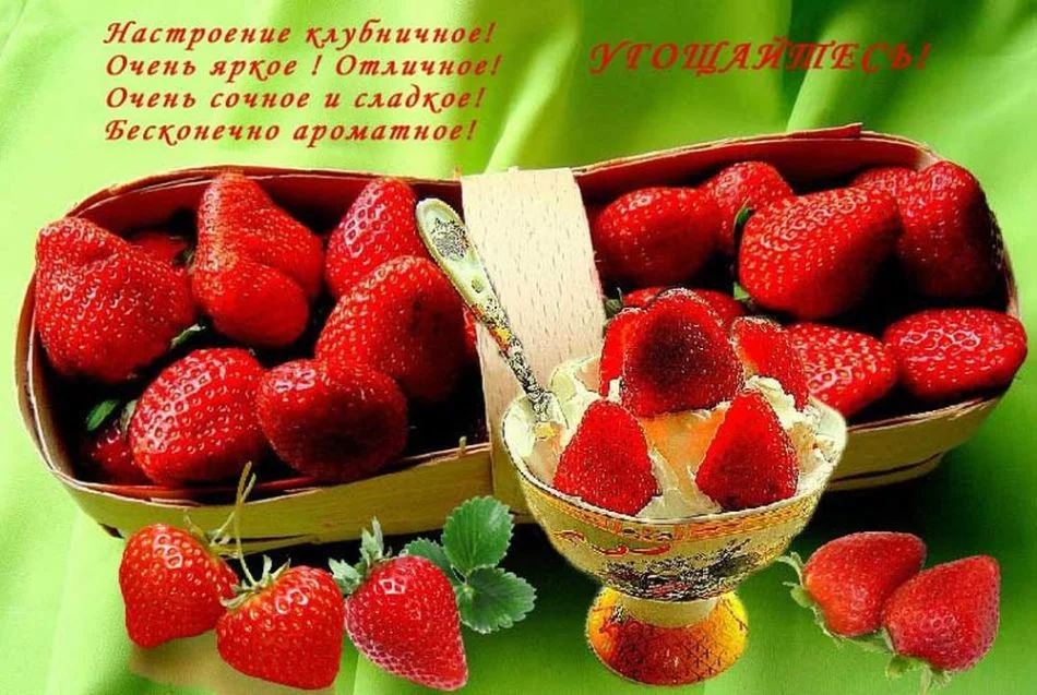 Клубничка в онлайне днем