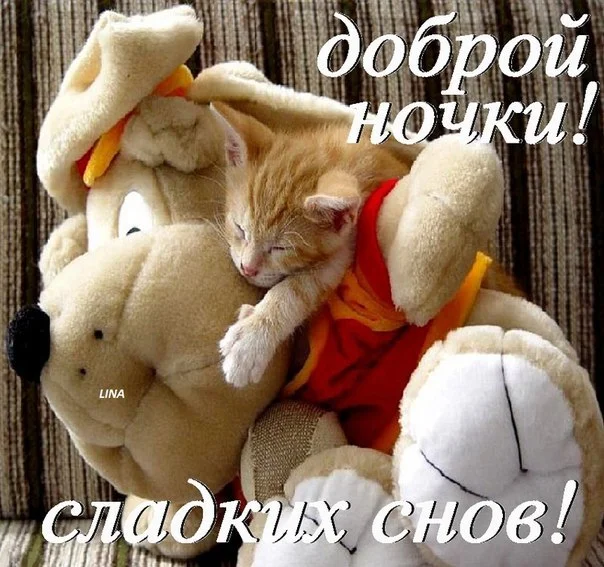 Милой девушке пришлось не совсем сладко