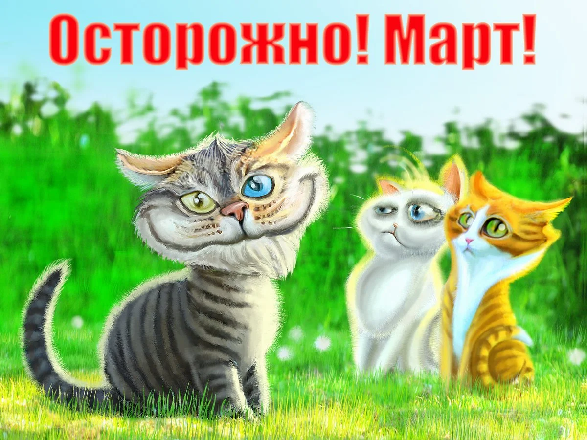 https://ne-kurim.ru/forum/attachments/58759-jpg.342499/