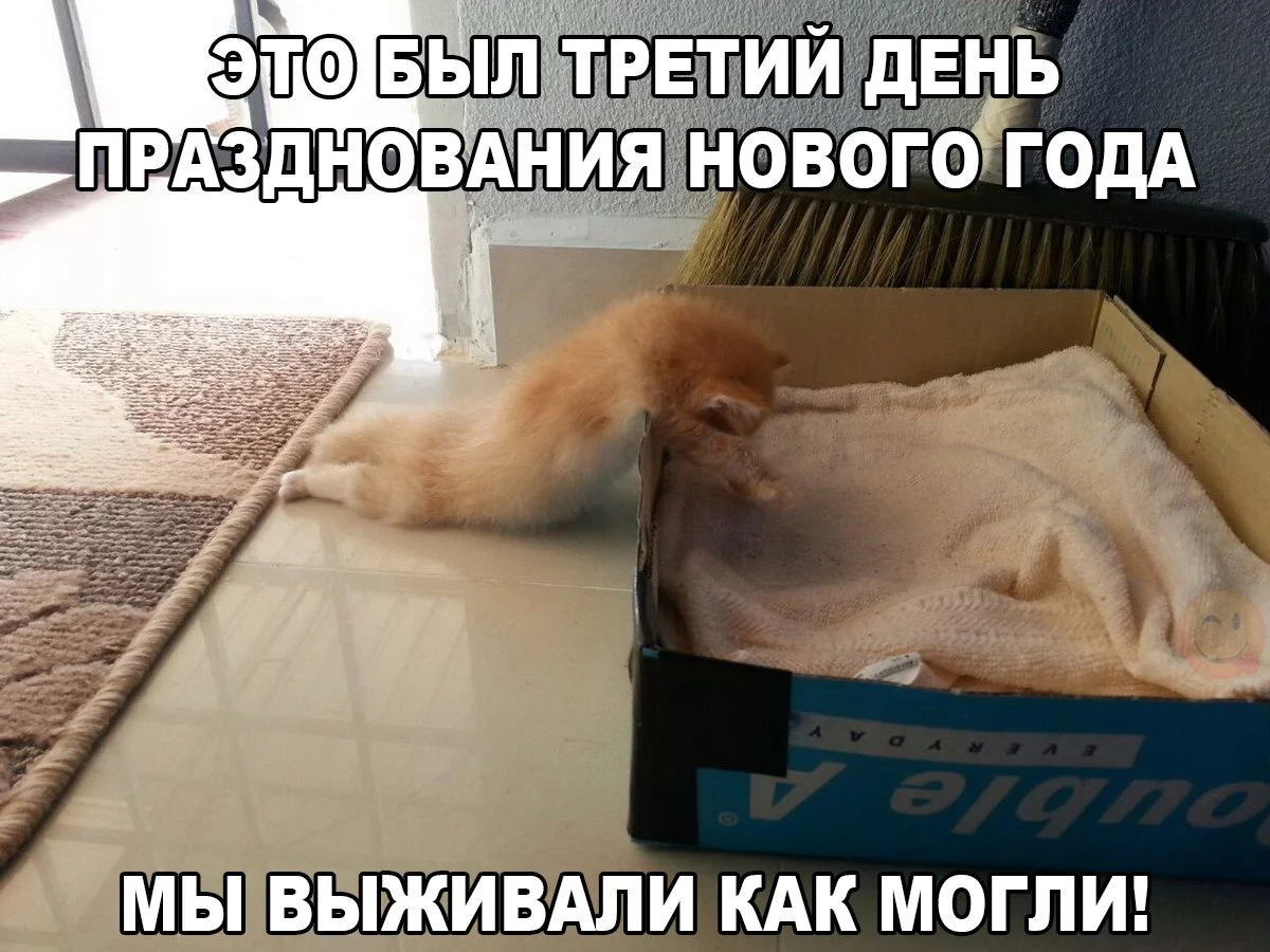 6arfqfkaa5y-jpg.303549