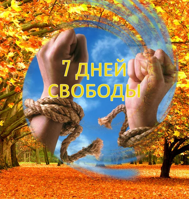 7-jpg.266871