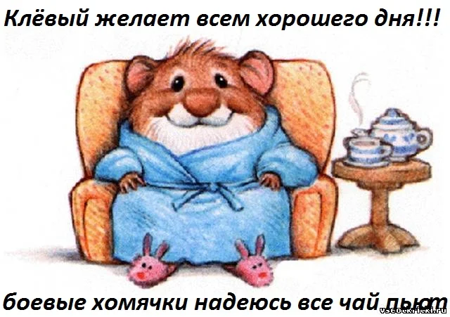 Доброе утро хомячок прикольные картинки