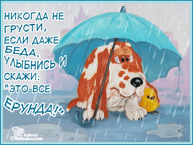 Жизнь как погода в любой момент может распогодится картинки