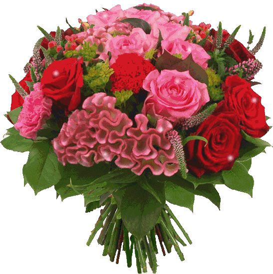 74397427_large_csoki-gif.1085651