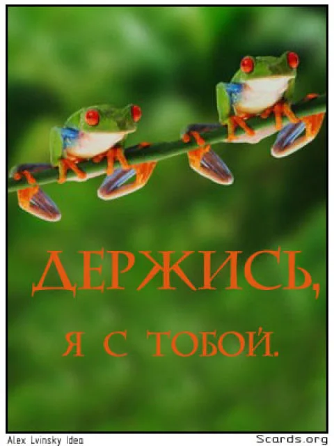 Крепись картинки. Открытка держись. Открытка держись подруга я с тобой. Открытки держись дружище. Держись я с тобой