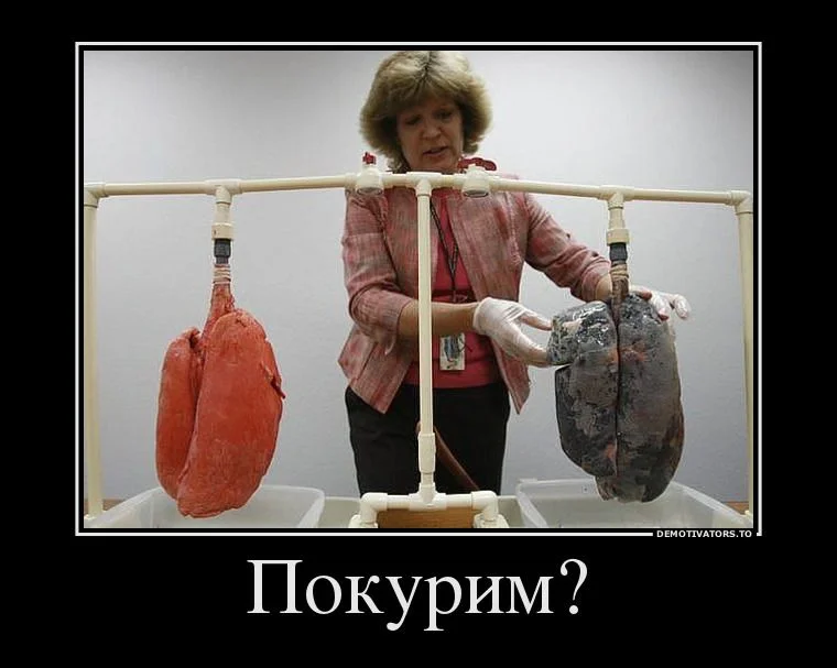 7ba1e74c68_large-jpg.373897