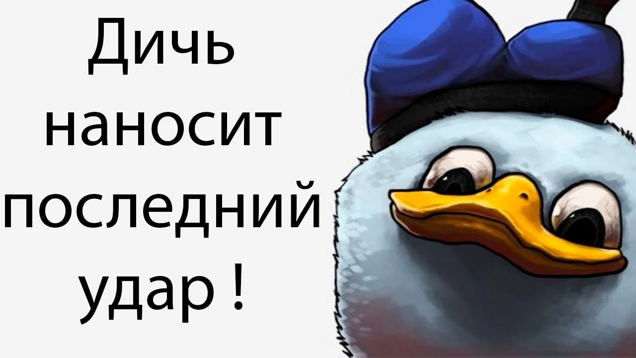 Втираешь какую то дичь. Дичь мемы. Про дичь. Про дичь. Малахов плюс приколы.
