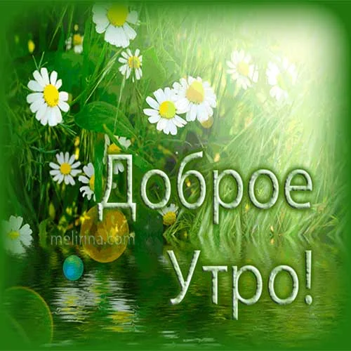 Картинки с добрым утром в зеленых тонах с надписями