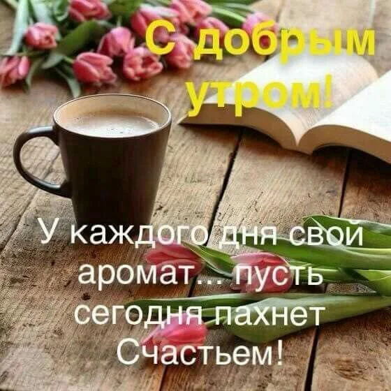 87cd0914aca97cc80fad2f39f9822dbe-jpg.601123