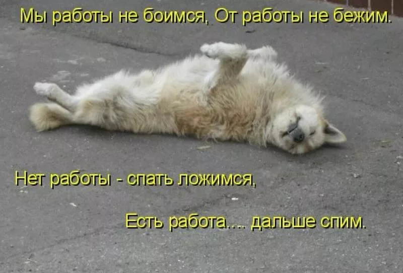 Ну где еще так отдохнешь