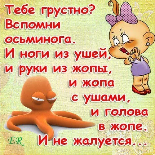 8914c952db6d9701ec9d77fd27f6d05c-jpeg.209089