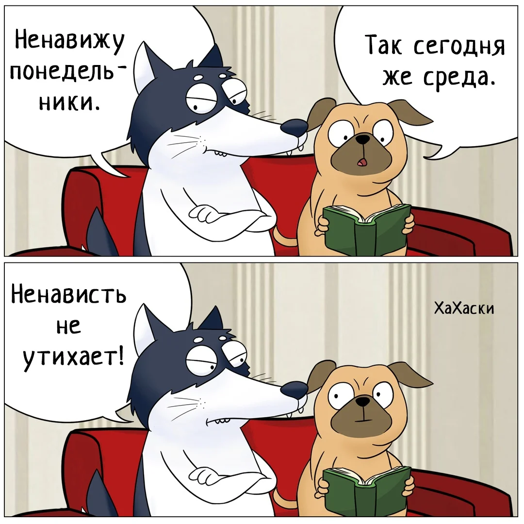 8eppki8imdu-jpg.772452