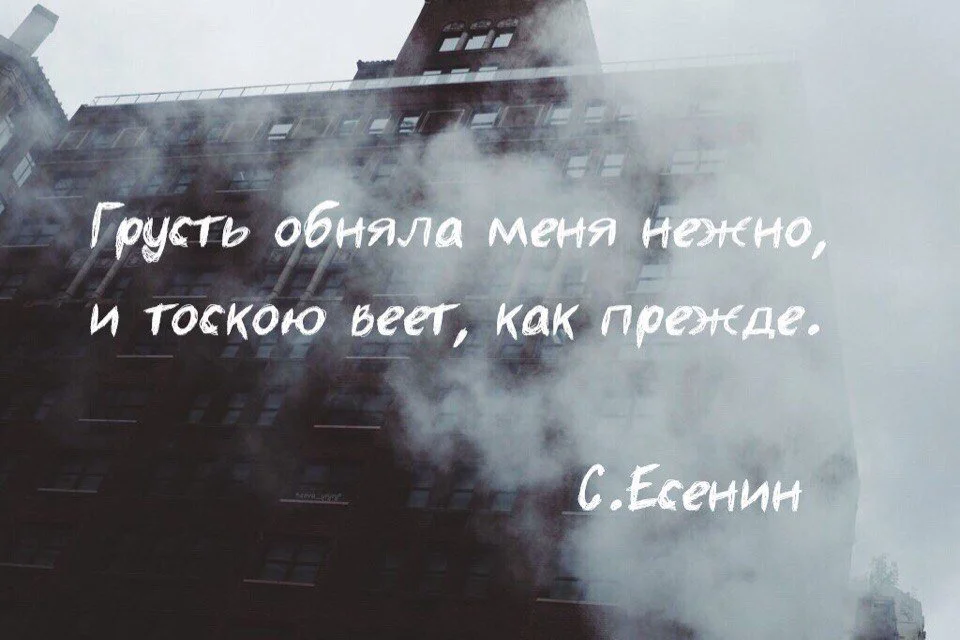 Не ходите люди в эти отпуска после них полгода грусть печаль тоска картинка