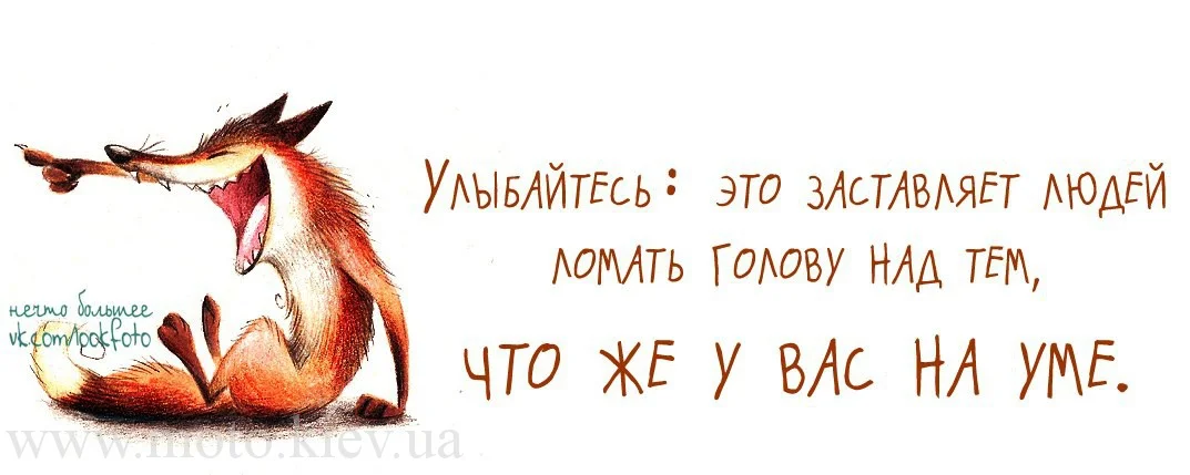 Юмор каждый день