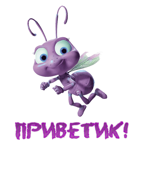 983872-gif.276023