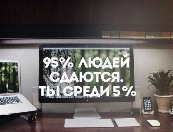 9owklgdsxu-jpg.312219