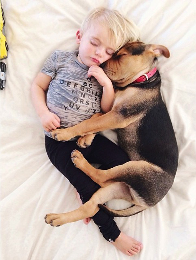 A-Naptime-Story-with-Dog-and-Baby-8.jpg