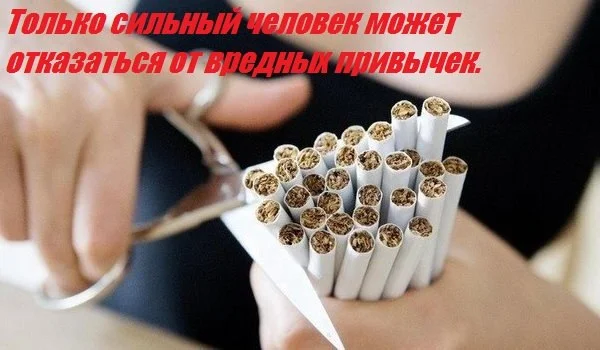 a0bjnutgazk-jpg.373291