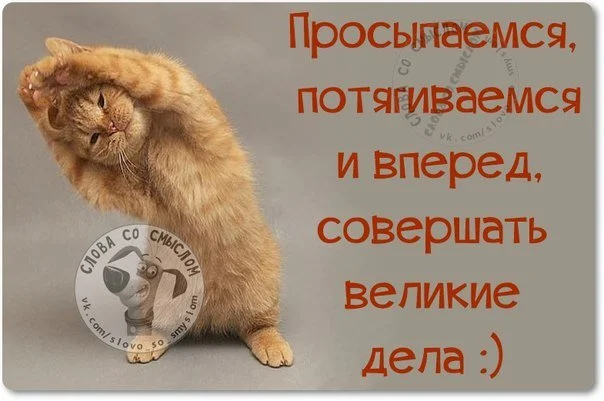 Проснулась и дала