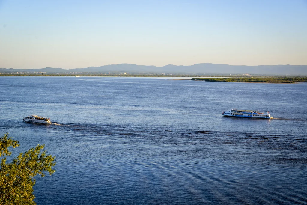 amur-jpg.239052