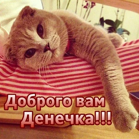 b37b0900a59389e857f41e0316641ffa-jpg.404673