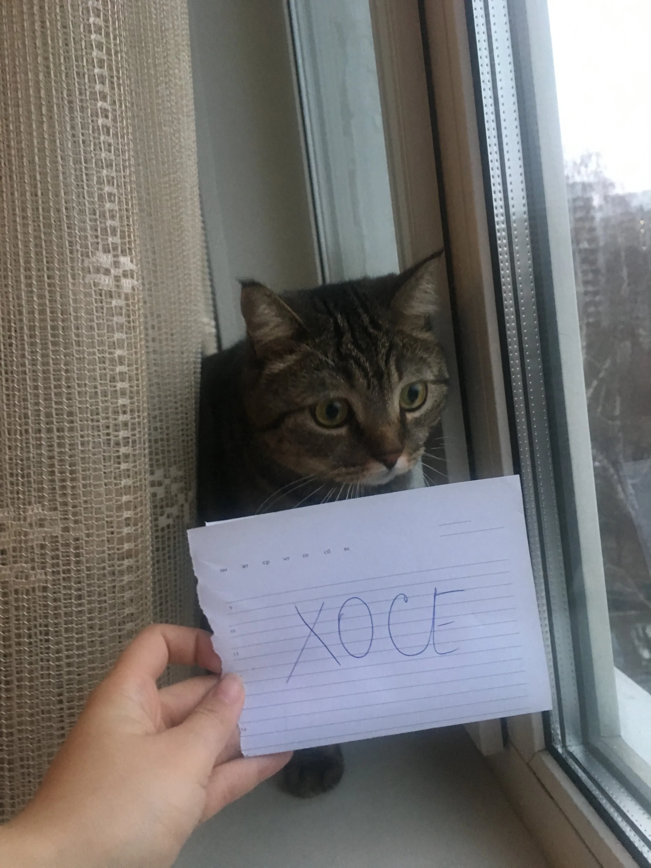 b3eaf35f-6104-41cd-90b0-212c9d963410-jpeg.759758