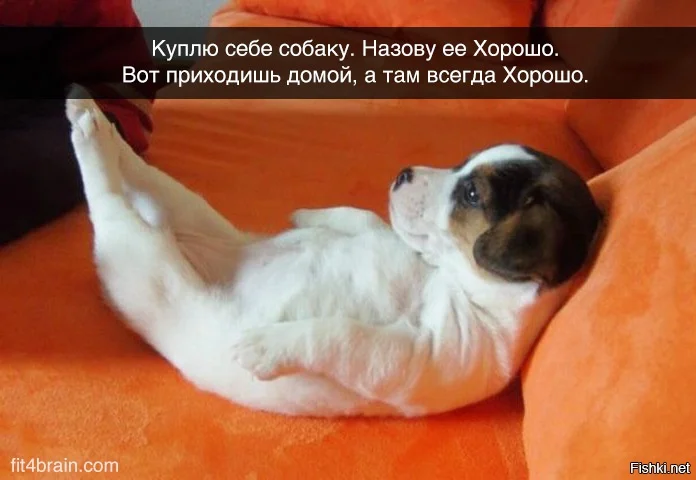 bb008f7e7cfbc57f889292221a7a6b86-jpg.170268