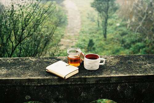 book-coffee-honey-nature-Favim.com-2275800.jpg