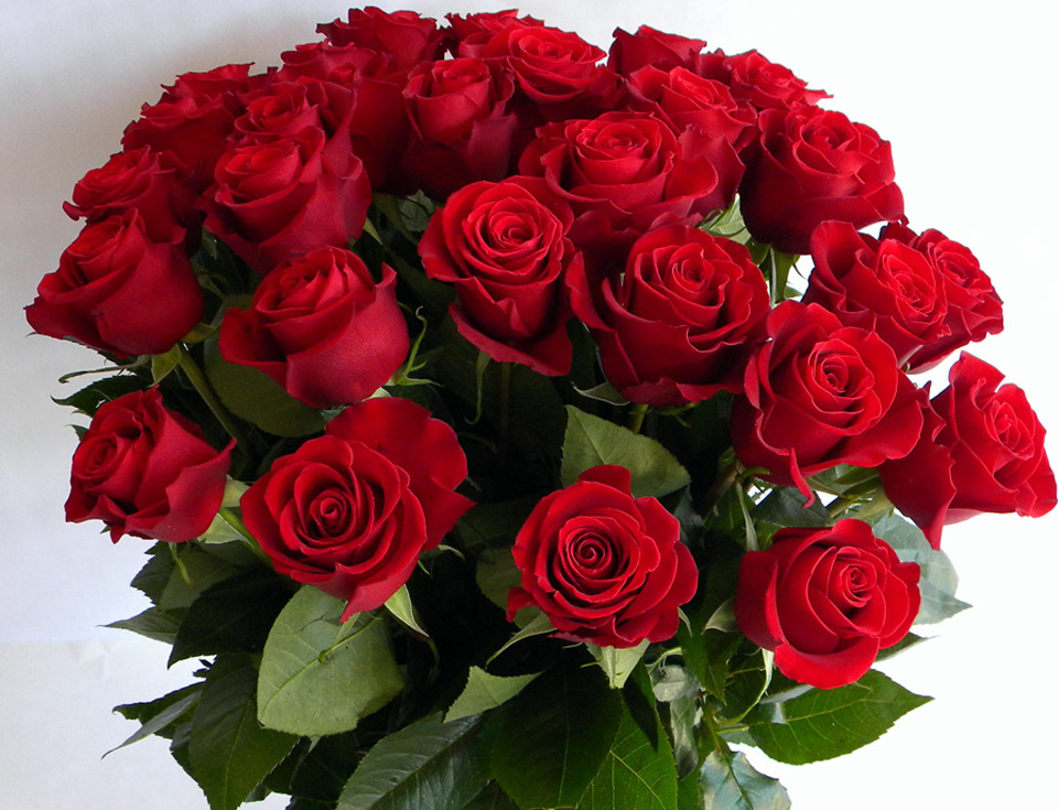 букет красных роз.jpg