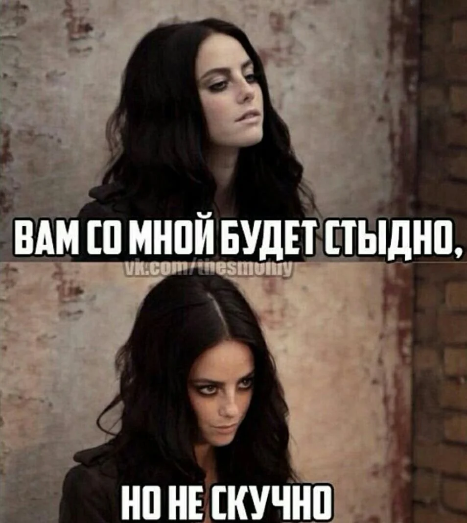 Эта сучка ему определённо понравилась