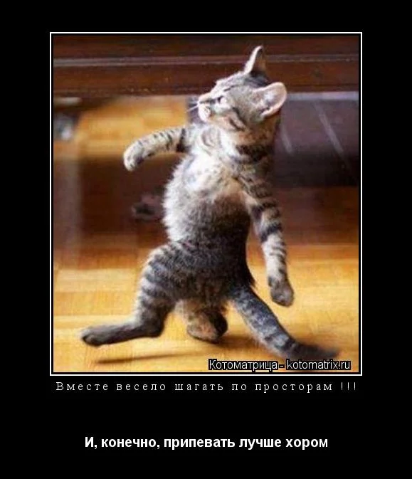 Предложение со словом несчастье. Твои тапочки сами обоссались. Конечно продолжить. Конечно картинки. Фонетический разбор слова конечно.