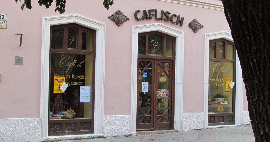 caflisch-0013-1024x542.jpg