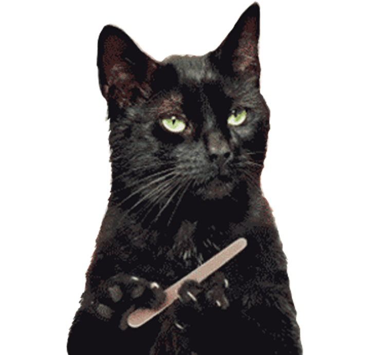 cat_scratch_zmaic-gif.1163527