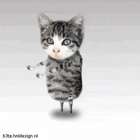 cats-dancing-gif-4913.gif