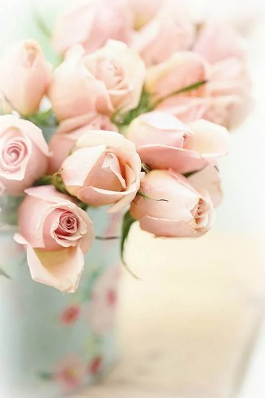clip_image010-315-jpg.459964