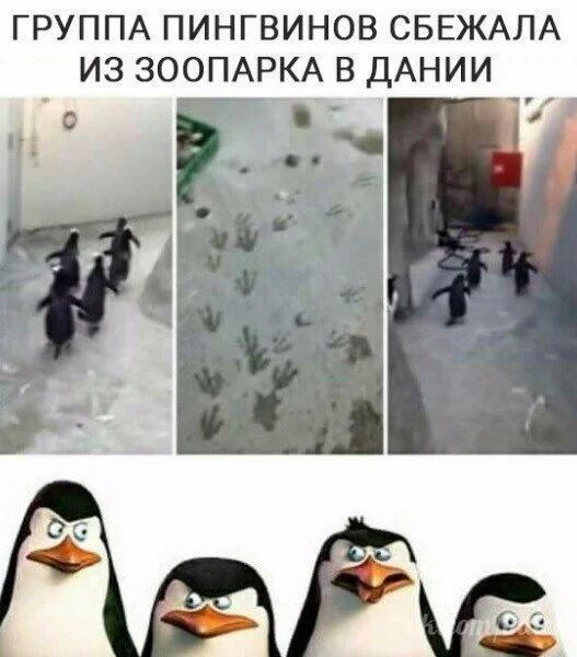 cmaekzssq6u-jpg.354591