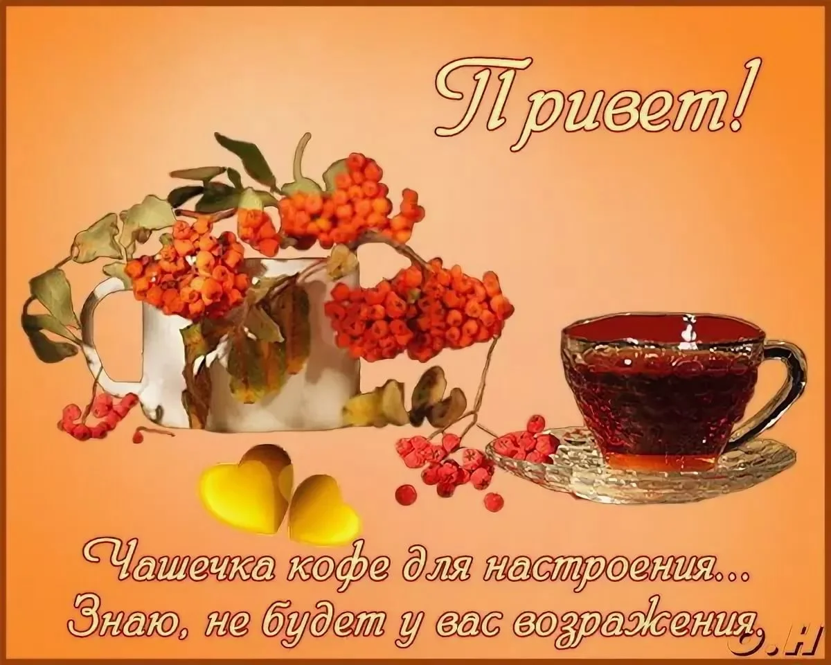 Привет добрый день