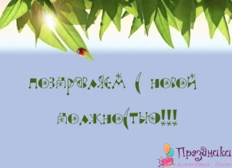 Поздравление с должностью картинки. Открытка с повышением в должности. Поздравляю с новой должностью. Открытка поздравляю с новой должностью. Поздравление СМПОВЫШЕНИЕМ