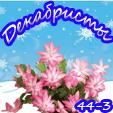 d3-png.1715842
