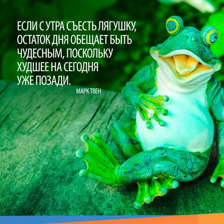 Смешные картинки с лягушками с надписями