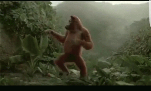 dancing-orangutan.gif